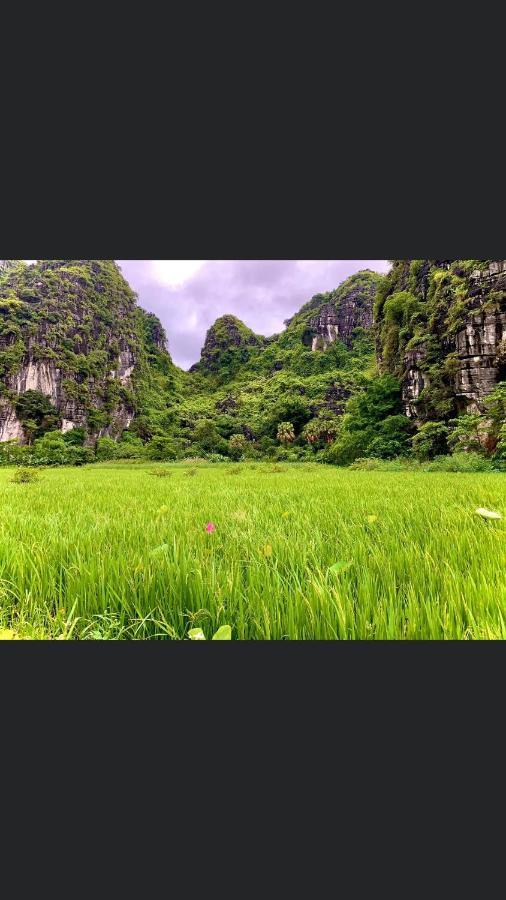 Tam Coc Scenery Homestay Van Lam Exterior photo